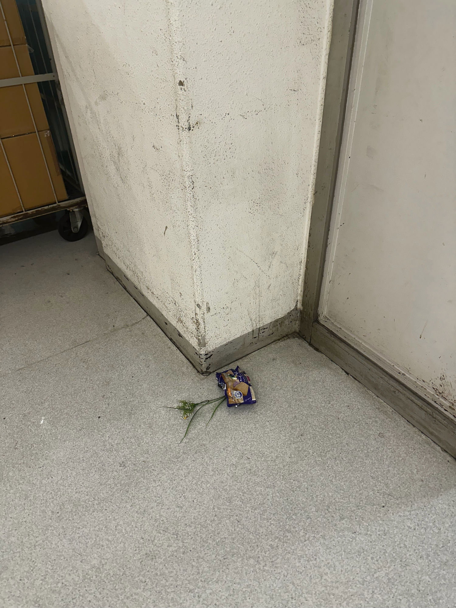 通路に放置されたゴミの巡回写真
